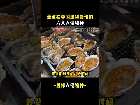 xjr  盤點在中國混得最慘的六大入侵物種！ thumbnail