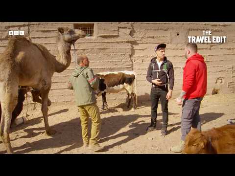 Two Englishmen Attempt to Negotiate for a Camel | Stupid Man Smart Phone | The Travel Edit thumbnail