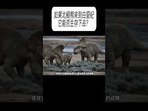 如果北極熊來到白堊紀，它能否生存下去？#科普 #漲知識 thumbnail