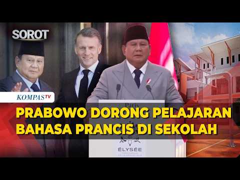 Prabowo Instruksikan Sekolah di Indonesia Belajar Bahasa Prancis di Depan Macron thumbnail