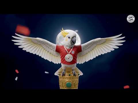 Our cockatoo brings home the Double! 🦜🏆 | Bundesliga & DFB-Pokal 2026 thumbnail