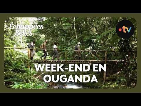 Ouganda, une aventure inoubliable - Échappées belles thumbnail