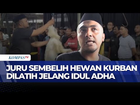 [FULL] Pelatihan Menyembelih Hewan Kurban Digelar Jelang Idul Adha, Bagaimana Prosesnya? thumbnail