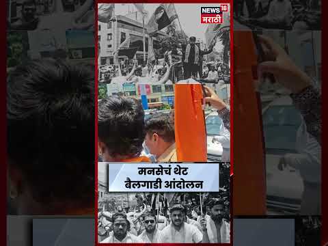 Pune News | पेट्रोल दरवाढीविरोधात मनसेचं बैलगाडी आंदोलन! कार्यकर्ते ताब्यात | N18S thumbnail