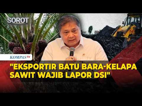 Menko Airlangga: Eksportir Batu Bara, Kelapa Sawit, dan Besi Paduan Wajib Lapor DSI Mulai 1 Juni thumbnail