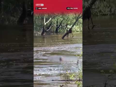 3 JUN 2026 - OPERASI SAR DIGIATKAN CARI MANGSA HILANG DI SUNGAI BANTING thumbnail