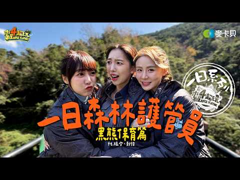 《一日系列第二百五十六集》泱泱在山林間找到臺灣黑熊蹤跡!!巢窩、爪痕甚至還有熊的廁所?!?! - 一日森林護管員🐾黑熊保育篇 ft.短今 尹到怡 thumbnail