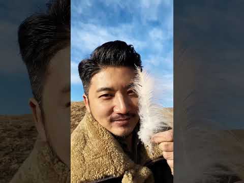 11月11日雷探长生日快乐 thumbnail