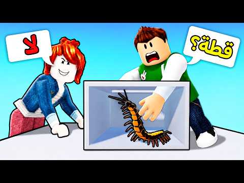 خمن الحيوانات الصحيحه داخل الصندوق | Guess the Animal !! 📦🤔 thumbnail