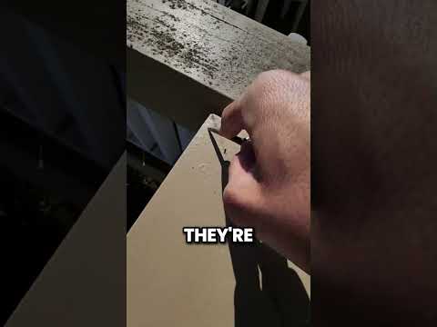 He Gets Paid $300 an Hour to Find What You Can't See thumbnail