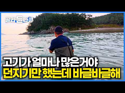 던지기만 해도 그물 터진다! 투망하면 횟감이 뚝딱. 양식장에서 흘러나오는 사료에 고기가 알아서 걸려든다｜한국기행｜#골라듄다큐 thumbnail