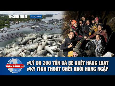 TOÀN CẢNH 17H 31/5: Điêu đứng 200 tấn cá chết ở hồ Trị An | Nhóm tìm vàng sống sót kỳ lạ sau 10 ngày thumbnail
