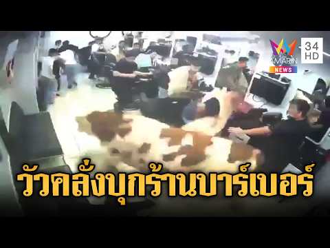 วัวหนีโรงเชือด บุกร้านตัดผม คนกระเจิงที่ตุรกี | ข่าวอรุณอมรินทร์ | 01/06/69 thumbnail