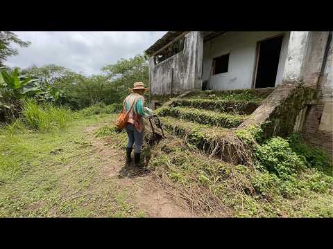 Volunteers Transform Old Lady’s Overgrown House for Free | by @CleanupRelax thumbnail