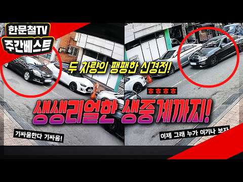 27203회. [5월 넷째주 주간베스트] 빨간 불 일시정지 후 우회전했는데 경찰 단속당했습니다. 이게 정당한가요? thumbnail