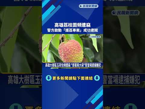 高雄大樹區玉荷包頻遭竊 "提著兩大袋"警當場逮捕嫌犯－民視新聞 thumbnail