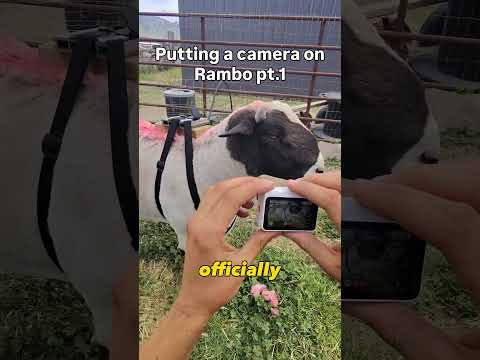 What should we do with the @insta360  go ultra next? thumbnail