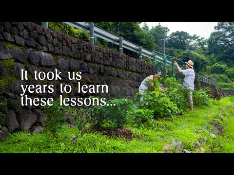 What Grew (and What Didn’t): A Summer of Learning in Our Japanese Countryside Garden? thumbnail