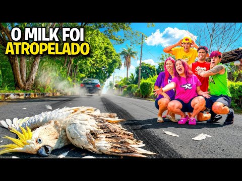 O MILK FOI ATROPELADO NESSE VÍDEO *Encontramos quem foi ? thumbnail