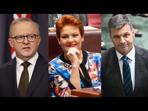 Big opportunity for One Nation as Aussies ‘sick’ of both major parties thumbnail