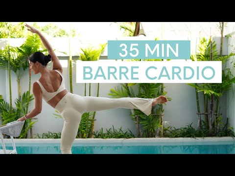 35 MIN BARRE CARDIO WORKOUT || Low Impact Dancer Workout (No Equipment) thumbnail