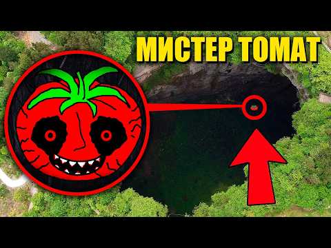 зря мы нашли МИСТЕРА ПОМИДОРА он очень голодный!😱 Mr. Tomatos В реальной жизни thumbnail