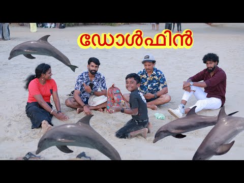 Dolphin കാണാൻ പോയതാ ഇത്രയും പ്രേതിക്ഷിച്ചില്ല? thumbnail