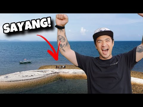 TABAS thumbnail