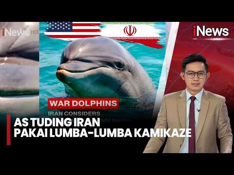 AS Tuding Iran Pakai Lumba-Lumba Kamikaze, Iran Kecam Tudingan AS | iNews Pagi (17/5) thumbnail