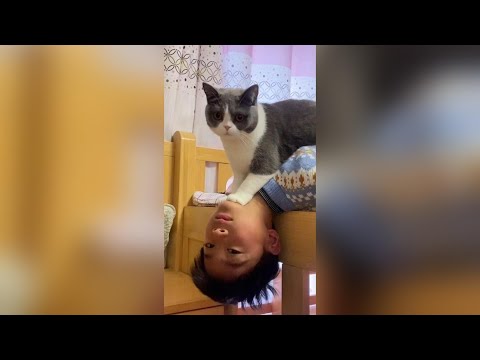 全網最粘人的貓咪，它的溫柔和偏愛全都只給哥哥 #貓咪的迷惑行為 thumbnail