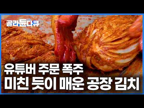 무조건 맵게 했더니 주문 폭주. 베트남 고추 때려 넣고 대량생산 중인 어느 김치 공장｜극한직업｜#골라듄다큐 thumbnail
