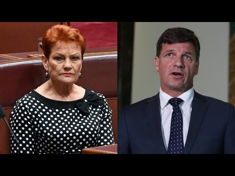 One Nation is ‘stepping into a void’ created by the Coalition’s ‘disunity and chaos’ thumbnail