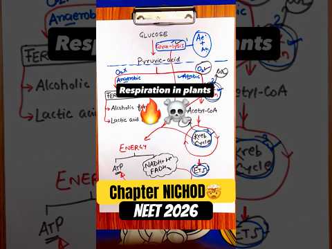 Kabhi Aise Padho? RESPIRATION IN PLANTS?| Neet 2026 thumbnail