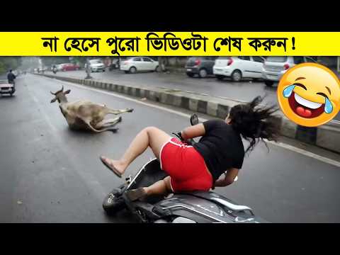 পারলে না হেসে পুরো ভিডিওটা শেষ করুন। Try to Not Laugh thumbnail