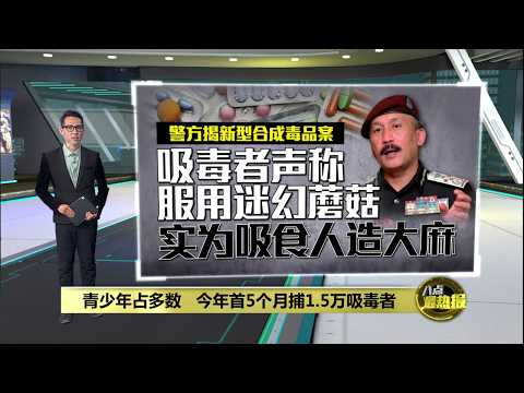 青少年占多数   今年首5个月捕1.5万吸毒者 | 八点最热报 28/05/2026 thumbnail
