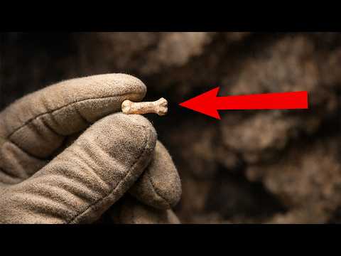 Archaeologists Found a Mysterious Bone in a Cave thumbnail