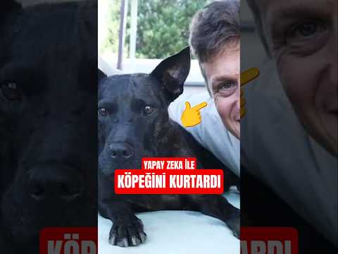 Köpeğinin hayatını yapay zeka ile kurtaran adam #shortvideo thumbnail