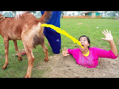 Stupid Student & Father Funniest Fun Comedy Video 2026 ? Episode 271 By Our Fun Tv thumbnail