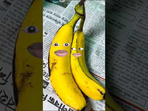 Jay Ganapati Bappa 🙏🏼☺️ | #funny #comedy thumbnail