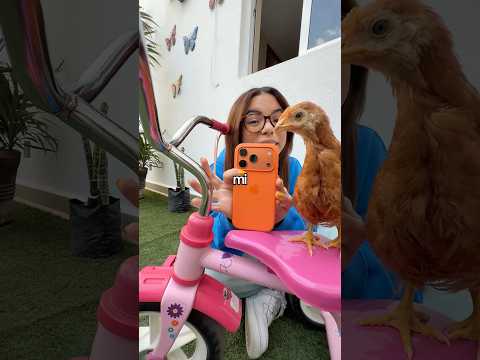 CRECIÓ MI MASCOTA thumbnail