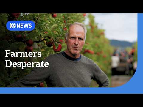 Can farmers become less reliant on synthetic fertiliser? Some are trying | ABC NEWS thumbnail