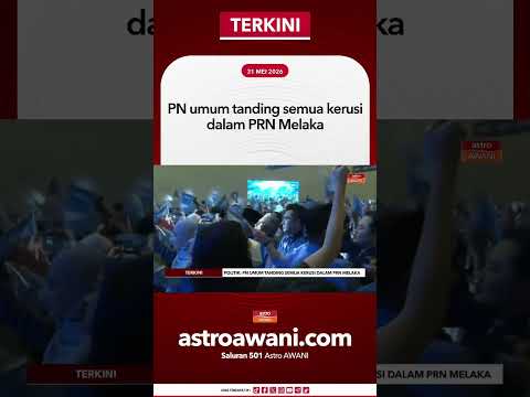 PN umum tanding semua kerusi dalam PRN Melaka thumbnail
