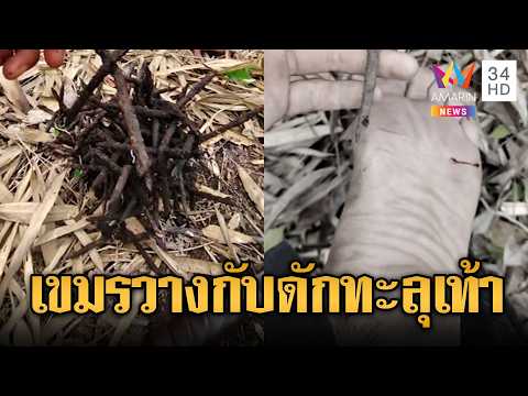 ทหารพรานไทยเหยียบกับดักเขมรทะลุเท้า | ข่าวอรุณอมรินทร์ | 29/05/69 thumbnail