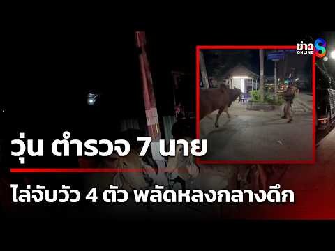 วุ่น ตำรวจ 7 นายไล่ จับวัว 4 ตัว พลัดหลงกลางดึก | 22 พ.ค. 69 | ข่าวใหญ่ช่อง8 thumbnail