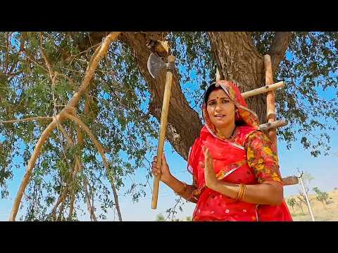 खेजड़ी काटने चढ़ीं शारदा ? साँसें रुक गई  thumbnail