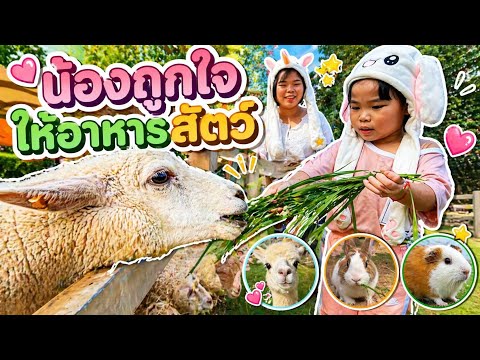 ศึกษาธรรมชาติกับน้องถูกใจ | ครูนกเล็ก thumbnail