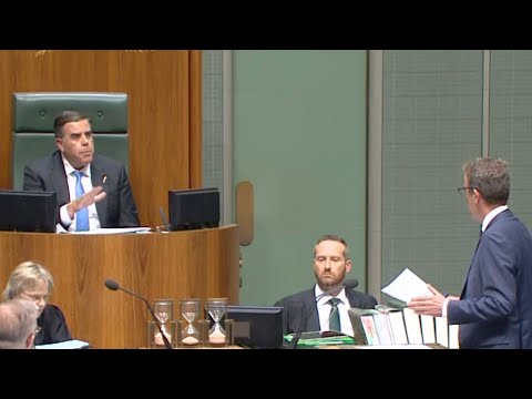 ‘The Prime Minister is a liar’: Peta Credlin blasts Speaker over ‘protection racket’ thumbnail