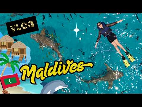 KALIAN BERANI GA BERENANG SAMA HIU? WKWKWWK VLOG MALDIVES LATEPOST thumbnail