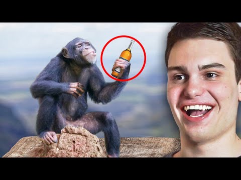 ურთულესი ეცადე არ გაიცინო ჩელენჯი! thumbnail