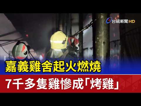 嘉義雞舍起火燃燒 7千多隻雞慘成「烤雞」 thumbnail